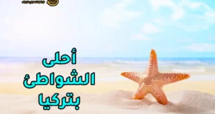 شواطئ تركيا